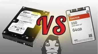 西部数据深圳工厂停产清算引发行业震动 掌趣乐游布局健康步数市场